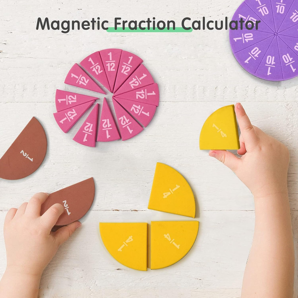 stochastic box Magnetic Fraction Circles