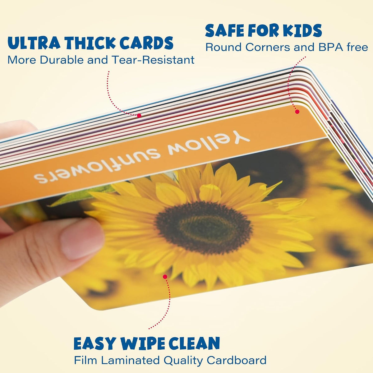 BenBen Flash Cards