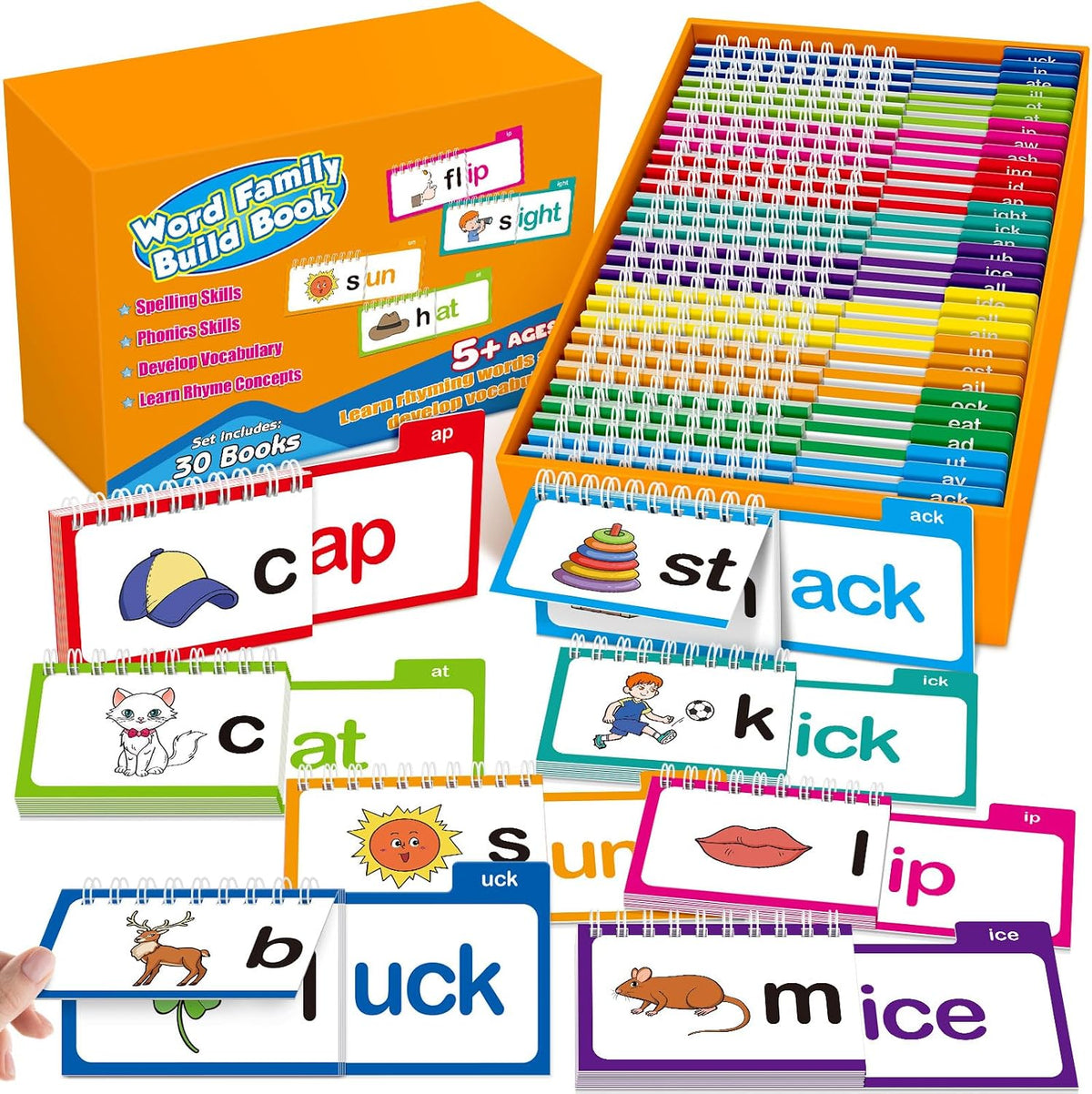 Edulok Word Family Flash Cards